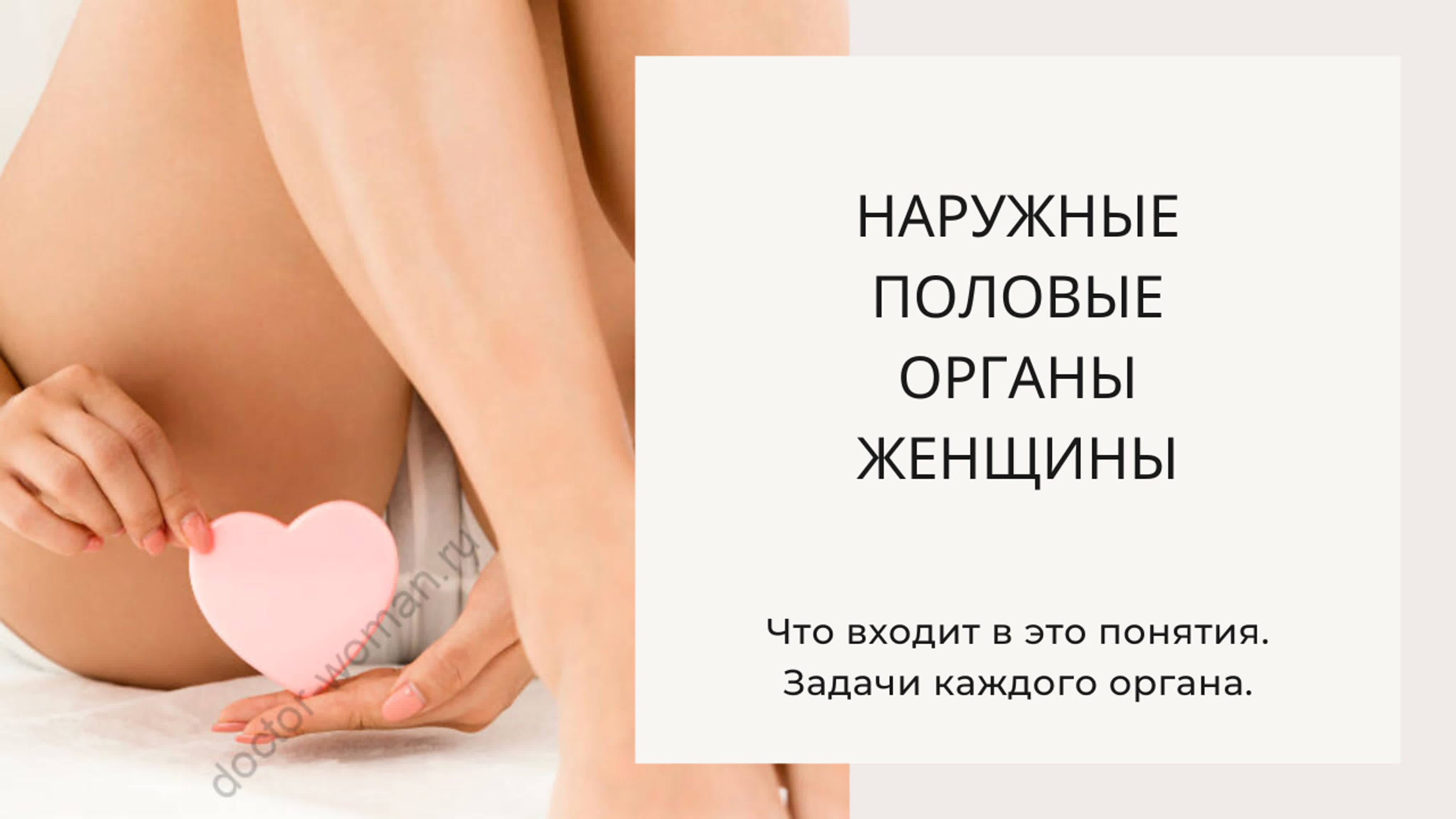 Строение Вагины Девственницы Строение Вагины Девственницы