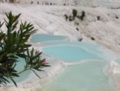 Фотография Abramenkova Viktoriya