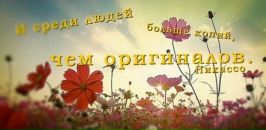 Сергій Баніт фотография #7 (источник - https://vk.com/id21088363)