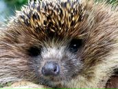 Фотография Луниной Ксении