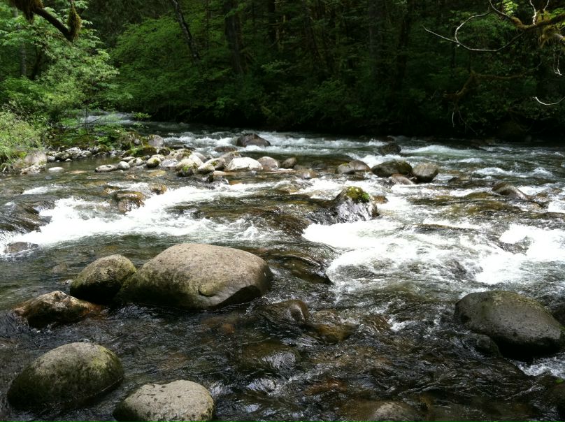 Федор Гончар фото №31