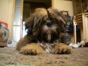 Фотография Лукьянова Вячеслава