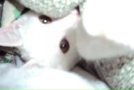 Фотография Викторовны Юлии