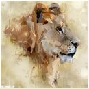 Фотография Ковалева Антона