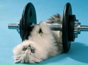 Фотография Сунцова Дарья