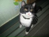 Віта Собко-Теке фотография #25 (источник - https://vk.com/id123745161)