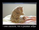 Марія Абрамова фотография #31 (источник - https://vk.com/id123819102)