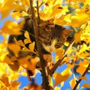 Фотография Лакизы Натальи