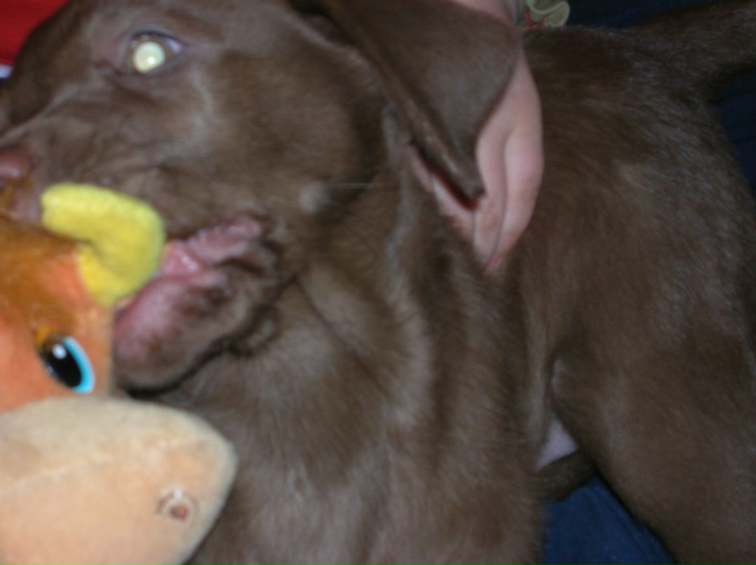 Виктор Тимофеев фотография #31