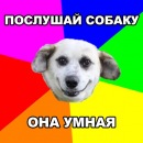 Фотография Тараяна Карена