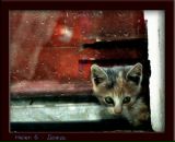 Фотография Васильевой Дарьи