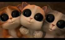 Фотография Хусаеновой Ильзиры