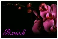 Фотография Никитиной Ольги