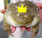 Фотография Макаровой Юлии