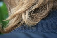 Фотография Агеева Павла