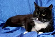 Фотография Мантрова Василия