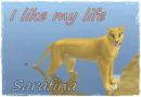 Sarafina Lion фотография #22 (источник - https://vk.com/id159852528)