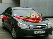 Олексій Кудас фотография #1