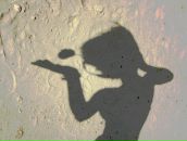 Фотография Токаревой Елены