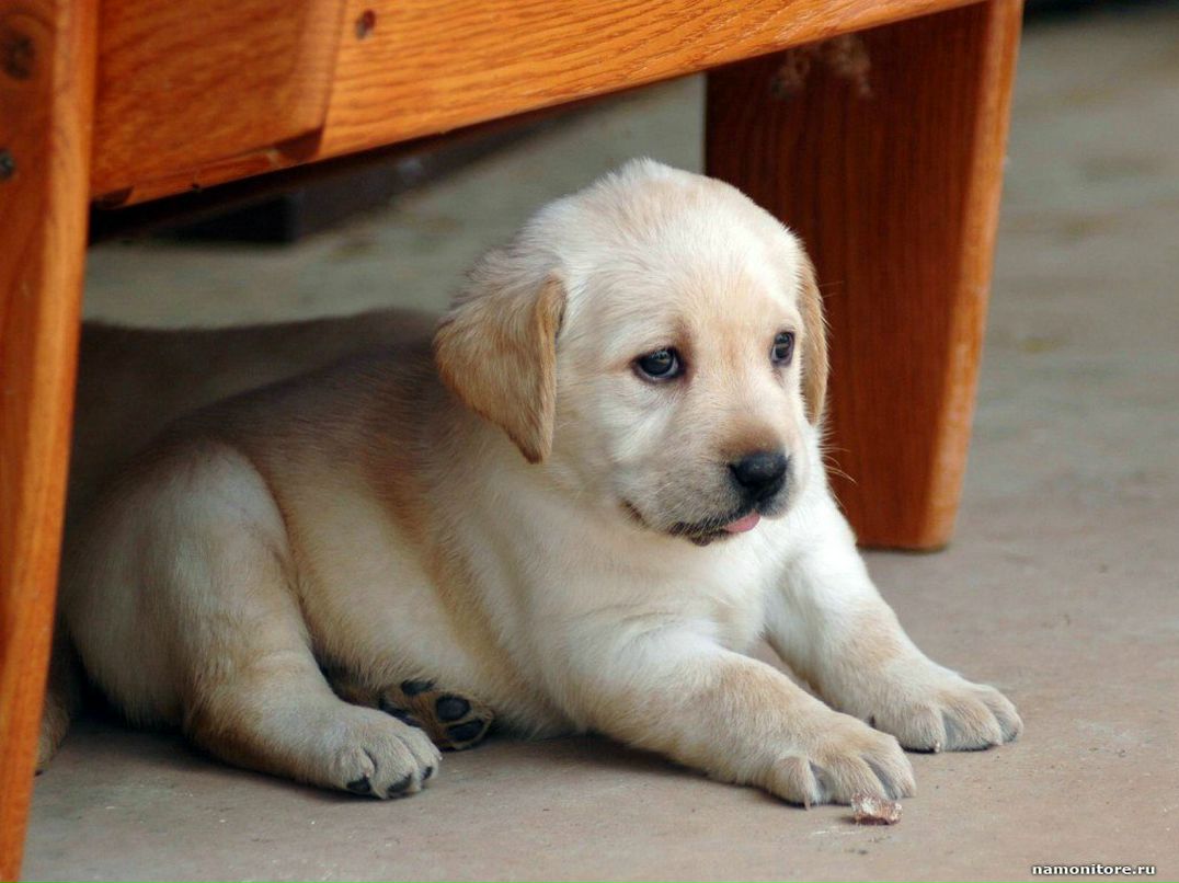 Рустэм Рустэм фотография #24