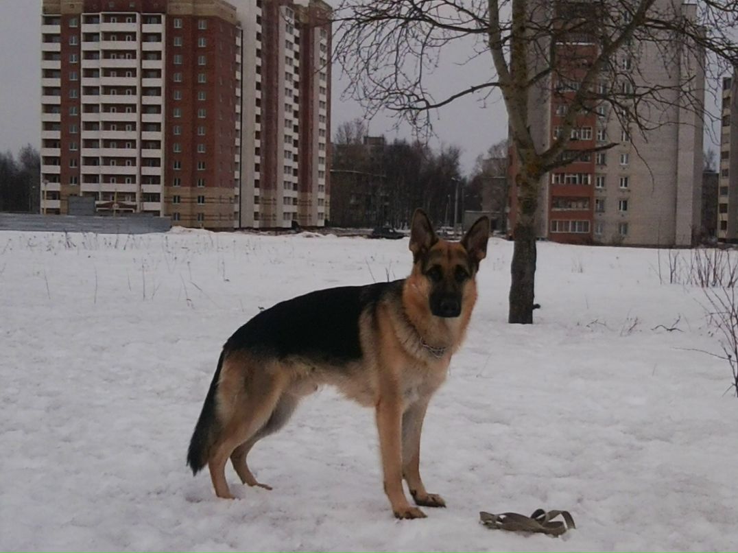 Андрей Кубышкин фотография #32