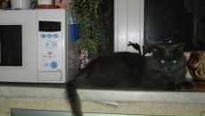 Фотография Смирнова Романа