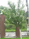 Богдан Сітарський фотография #36 (источник - https://vk.com/id64854310)