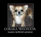 Фотография Ораловой Татьяны