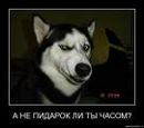 Фотография Fffffffd Dsdsrd