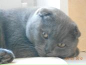 Фотография Петровой Лики