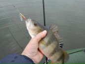 Фотография Устинова Максима