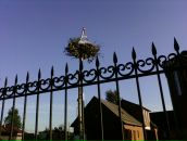 Фотография Гильман Надежды