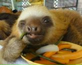 Фотография Шихалеева Наталья