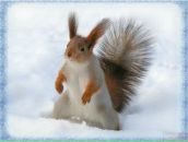 Фотография Ковальчик Даны