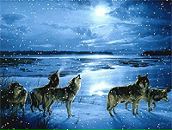 Фотография Горбунова Андрея