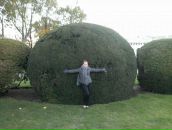 Фотография Улитко Александр