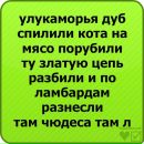 Віталік Драгущак фотография #38 (источник - https://vk.com/id138881853)