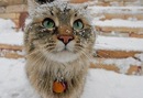 Фотография Маминой Алиюшки