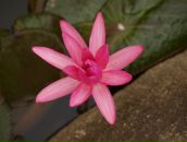 Фотография Мойкиной Анастасии