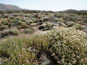 Мария Цырулева фотография #23 (источник - https://vk.com/id780803)