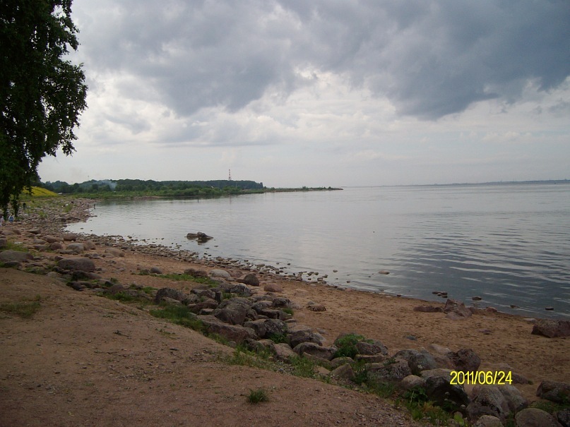 Венера Дмитриева фотография #39