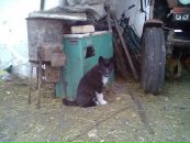 Федір Чесак фотография #26 (источник - https://vk.com/id100963214)