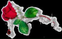 Фотография Захаровой Елены