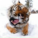 Фотография Коваля Андрея