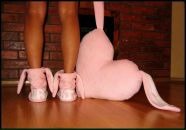 Фотография Малютиной Марии