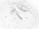 Яна Дуліна фотография #42 (источник - https://vk.com/id142830195)