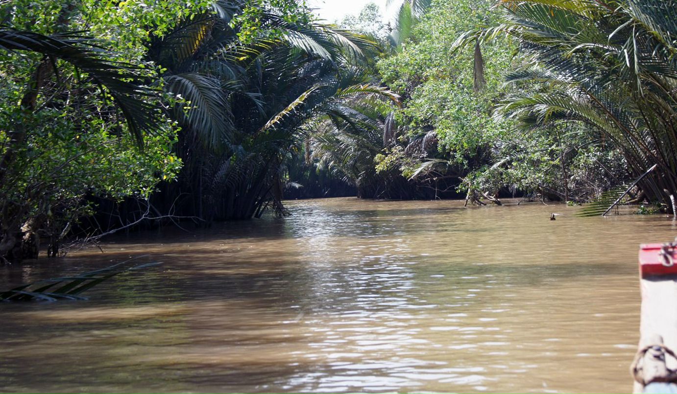 Рома Марек фотография #38