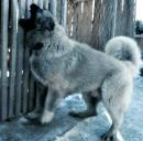 Ірина Бушко фотография #25 (источник - https://vk.com/id147521499)