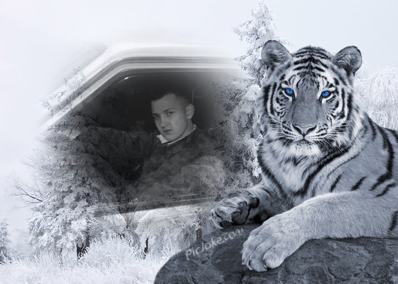 Дима Амплеев фотография #20