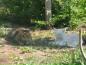 Фотография Загиров Рафаэль